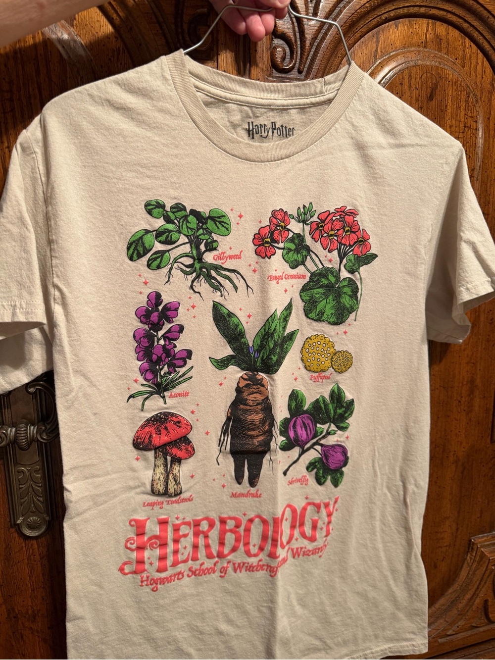 Warner Bros. Herbology Graphic Tee - Cream with Multicolor Print